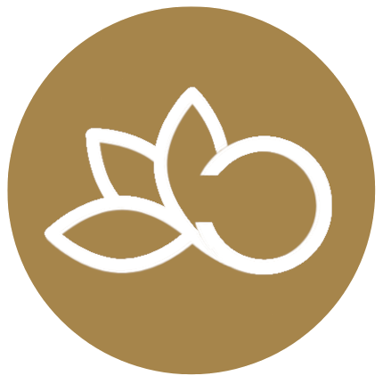 Jenni Werner | LÖSUNGSRAUM Frankfurt