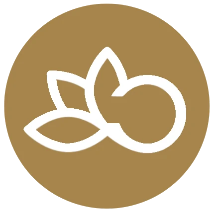 Jenni Werner | LÖSUNGSRAUM FRANKFURT